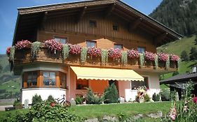 Haus Manuela Sonnige Aussicht Mit Bergpanorama Inkl Nationalpark Card